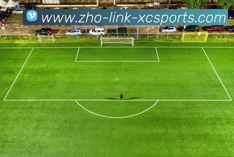 杏彩体育平台生态图