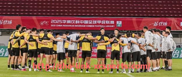 杏彩体育-本赛季德甲球队:本赛季德甲各支球队的表现与战力分析