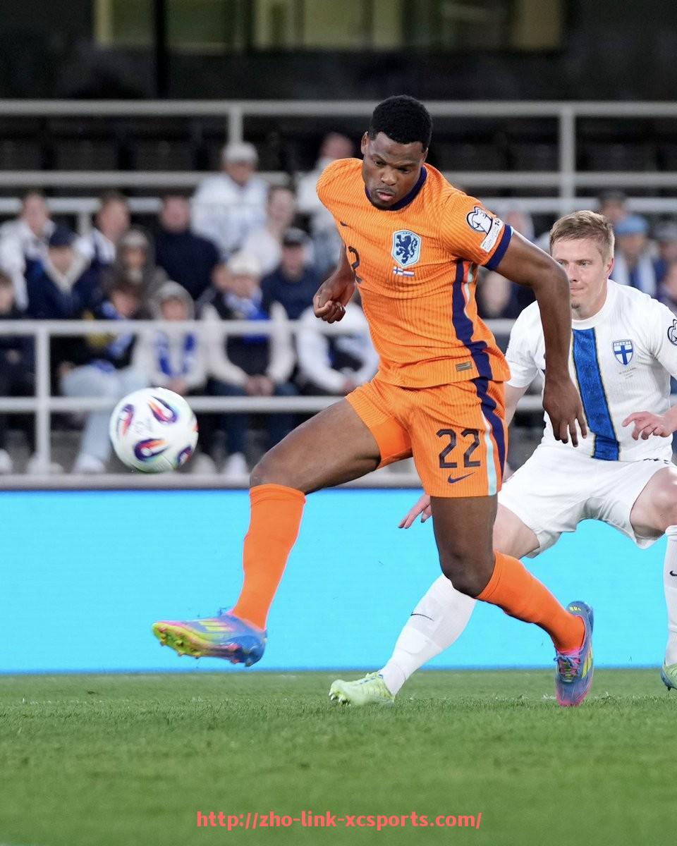 杏彩体育-世俱杯中场表演节目安排，音乐与视觉的跨界融合演绎