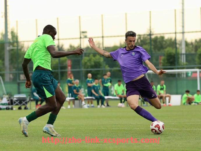 杏彩体育-中超联赛足球队排名最新更新及走势分析