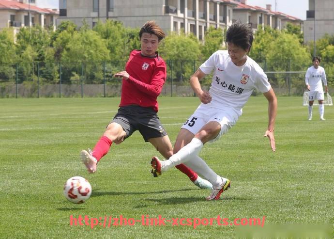 杏彩体育-法甲球队赛季综合分析报告:战术布局与球员配置详解 杏彩体育-法甲球队赛季综合分析报告:战术布局与球员配置详解